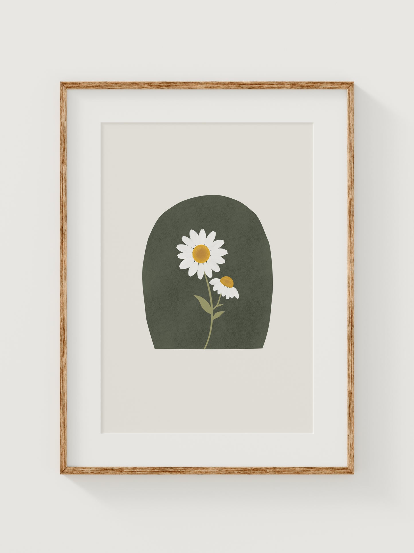 Wildflower Wonder Daisy