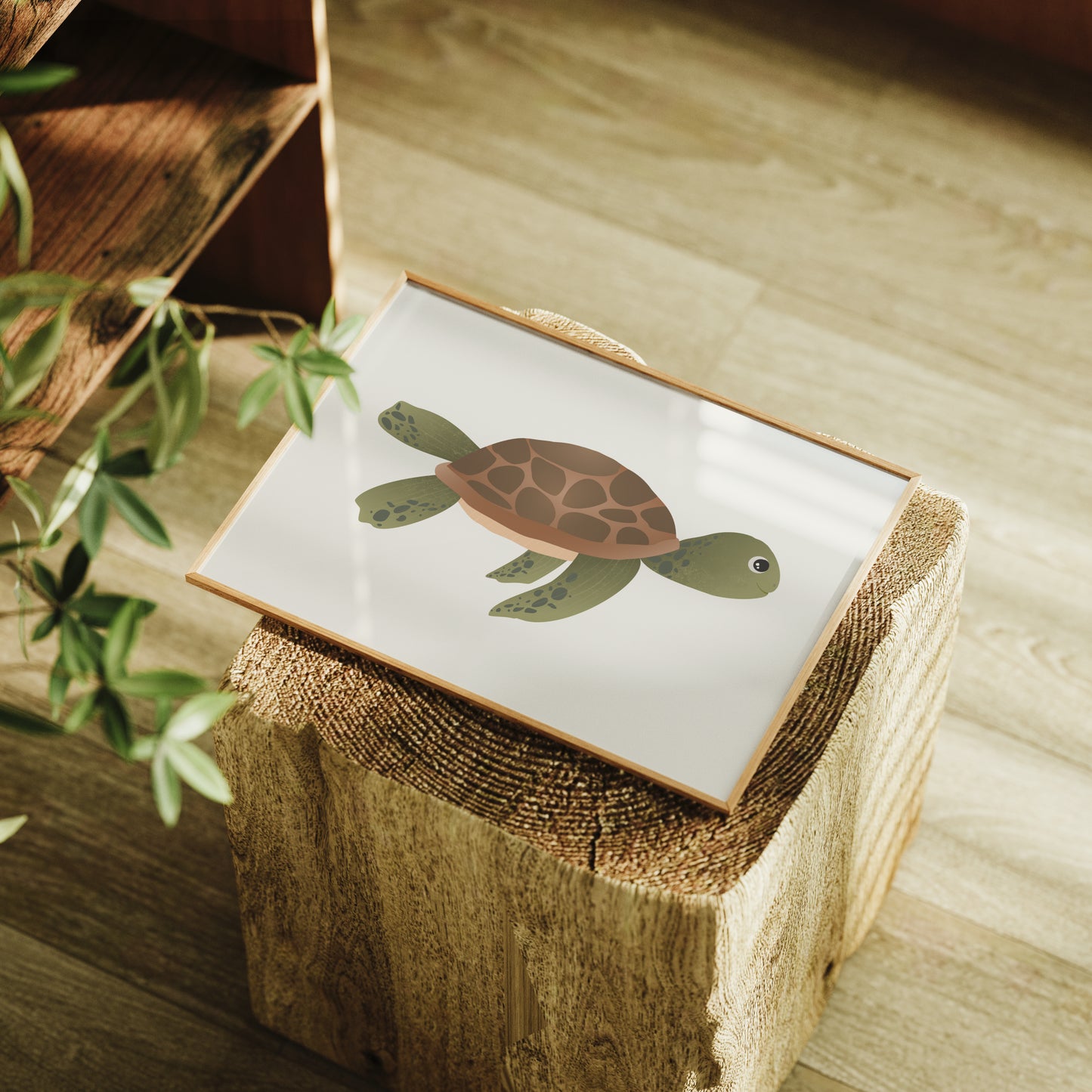 Sea Wanderer Turtle