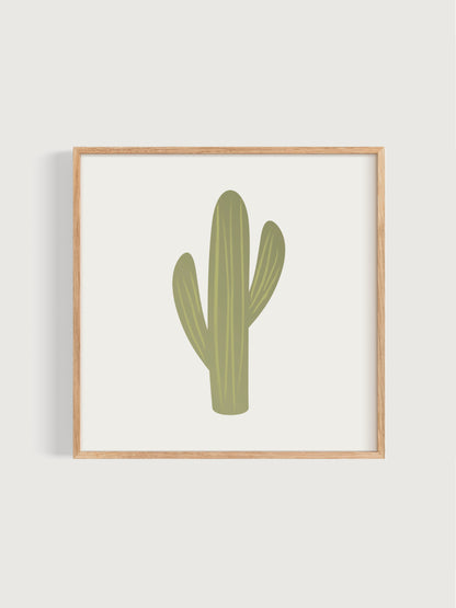 Desert Dream Cactus