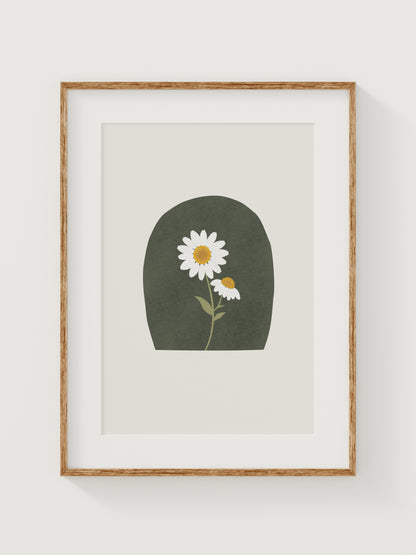 Wildflower Wonder Daisy