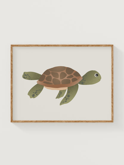 Sea Wanderer Turtle