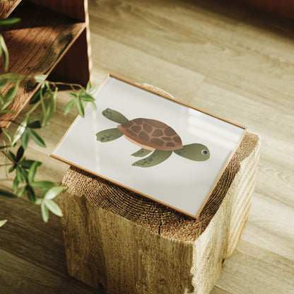 Sea Wanderer Turtle